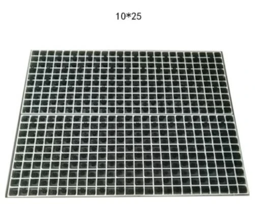 23 23